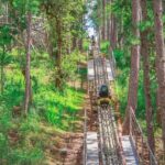 Datanla New Alpine Coaster Tour Experience Ticket - An In-Depth Look at the Datanla New Alpine Coaster Experience