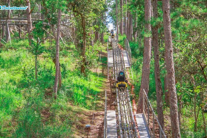 Datanla New Alpine Coaster Tour Experience Ticket - An In-Depth Look at the Datanla New Alpine Coaster Experience