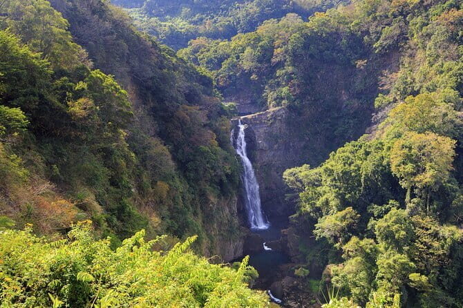 Daxi Xiaowulai: One Day Tour from Taipei - Why This Tour Offers Great Value