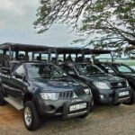 Day Excursion to Udawalawe from Colombo - FAQs