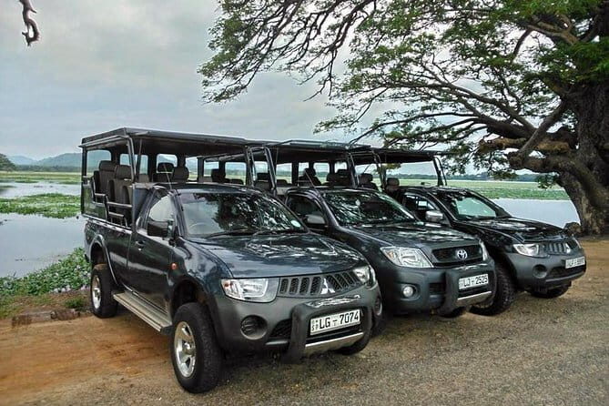 Day Excursion to Udawalawe from Colombo - FAQs