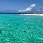 Day Sail with Transportation from San Juan, Condado or Isla Verde!! - The Authentic Experience: What Reviewers Love