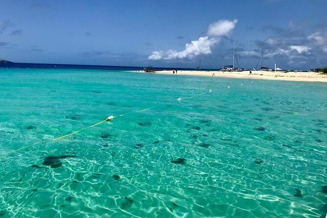 Day Sail with Transportation from San Juan, Condado or Isla Verde!! - The Authentic Experience: What Reviewers Love