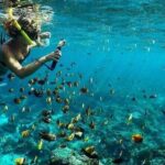Day Tour and Snorkeling With Manta Rays to Lembongan From Bali - What Past Participants Say