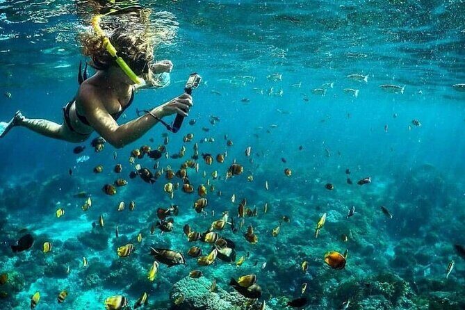 Day Tour and Snorkeling With Manta Rays to Lembongan From Bali - What Past Participants Say