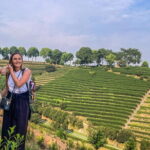 Day tour Chengdu Panda Base Leshan Giant Buddha with local Lunch - Authenticity, Practical Tips, and Final Thoughts