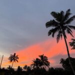 Day Tour Exploration of Fiji Culture and Nature - A Deep Dive into the Full-Day Fiji Tour