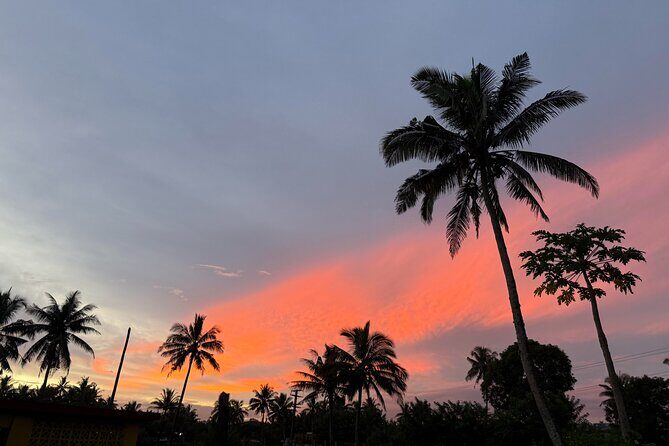 Day Tour Exploration of Fiji Culture and Nature - A Deep Dive into the Full-Day Fiji Tour