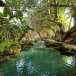 Day Tour in Chiang Mai I Sticky Waterfall & Land of Angels - The Itinerary in Detail