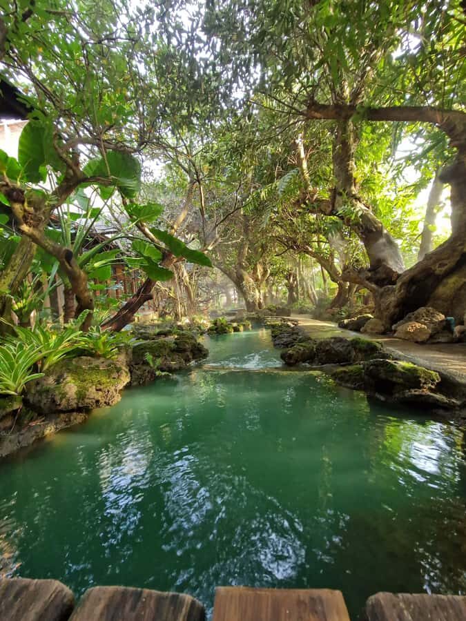 Day Tour in Chiang Mai I Sticky Waterfall & Land of Angels - The Itinerary in Detail