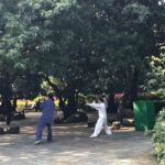 Day Tour in Shenzhen from Hong Kong on a Coach - The Practicalities: What You Need to Know