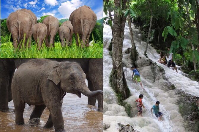 Day Tour Small Group Elephant Sanctuary and Fun Sticky Waterfall - Why This Tour Offers Good Value