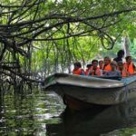 Day Tour to Bentota from Negombo - The Value of This Tour