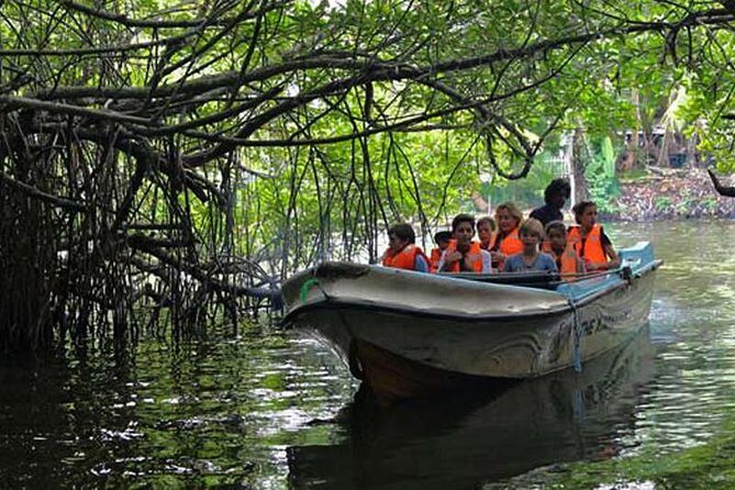 Day Tour to Bentota from Negombo - The Value of This Tour