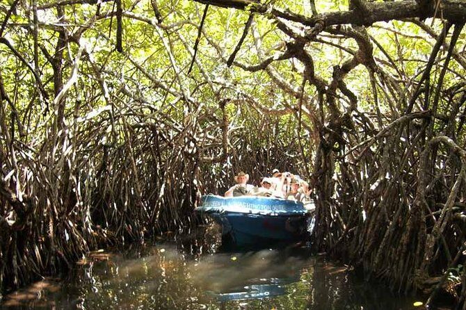 Day Tour to Bentota from Negombo - The Realities of a Long Day