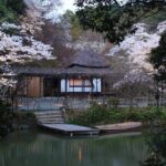 Day Tour to Yutoku Inari Shrine & Sachihime Sake Brewery| Fukuoka - Authentic Experiences and Hidden Gems