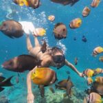 Day Tour West Nusa Penida and Snorkeling From Nusa Lembongan - Who Will Love This Tour?