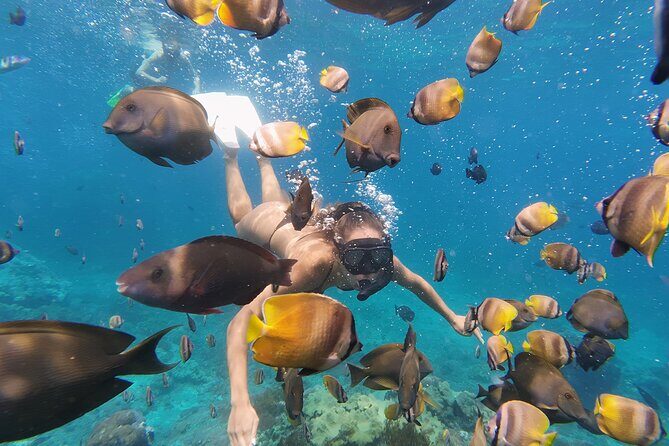 Day Tour West Nusa Penida and Snorkeling From Nusa Lembongan - Who Will Love This Tour?