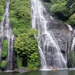 day trip bali: ulundanu,handara gate,banyumala waterfalls - Who Is This Tour Perfect For?