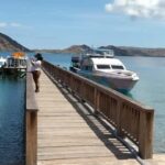 Day Trip Explore Komodo National Park by Private Speed Boat - What to Expect from Your Komodo National Park Day Trip