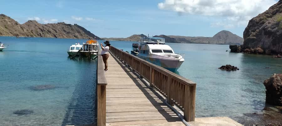 Day Trip Explore Komodo National Park by Private Speed Boat - What to Expect from Your Komodo National Park Day Trip