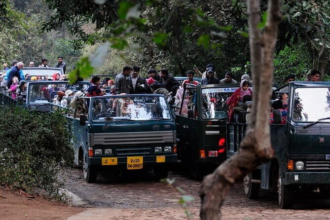 Day Trip from Jaipur to Ranthambore Safari - Considerations and Practical Tips