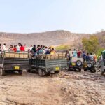 Day Trip from Jaipur to Ranthambore with Tiger Safari - What’s Included and What’s Not