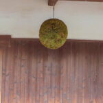 Day Trip Kobe From Tokyo Sake Brewery Kobe Beef By Bullet Train - An In-Depth Look at the Kobe Day Trip from Tokyo