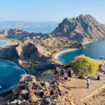 Day Trip Komodo Island With Speedboat in Labuhan Bajo - Who Should Book This Tour?