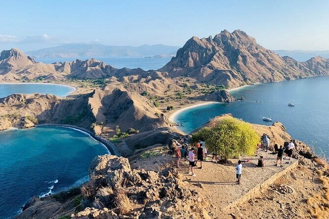 Day Trip Komodo Island With Speedboat in Labuhan Bajo - Who Should Book This Tour?