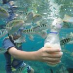 Day Trip: Nusa Penida Snorkling - What’s Included and What You Should Know