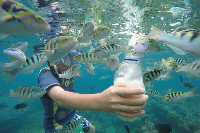 Day Trip: Nusa Penida Snorkling - What’s Included and What You Should Know