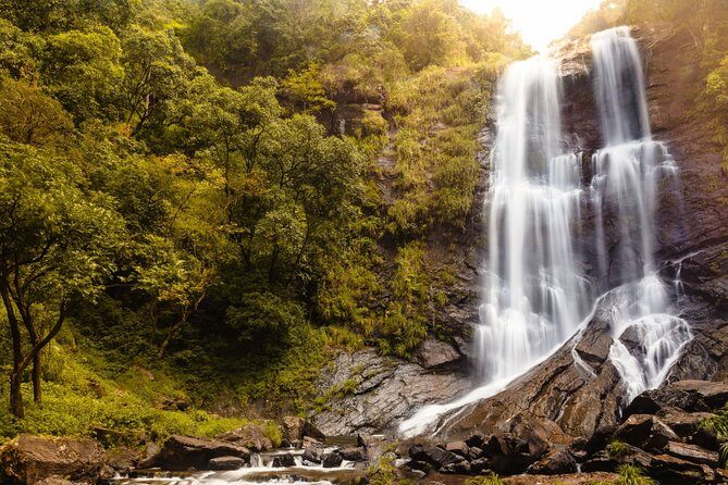 Day Trip to Chikmagalur (Guided Sightseeing Tour by Car from Mysore) - Transportation & Comfort