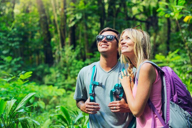 Day Trip to Chikmagalur (Guided Sightseeing Tour by Car from Mysore) - Who Would Love This Tour?