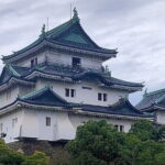 Day Trip Wakayama Tour from Osaka - Discovering Wakayama: A Deep Dive into the Itinerary