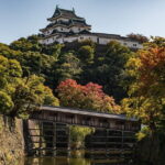 Day Trip Wakayama Tour from Osaka - Who Will Love This Tour?