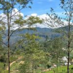 Dayagama: Pekoe Trail Stage 9 & 10 Guided Hike - What’s Included and What to Prepare