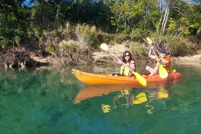 Daytime Kayak Eco Tour of New South Wales - A Closer Look at the Experience