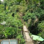 daytour bali:sekumpul + fiji waterfalls,ulundanu beratan - Practical Details and Value