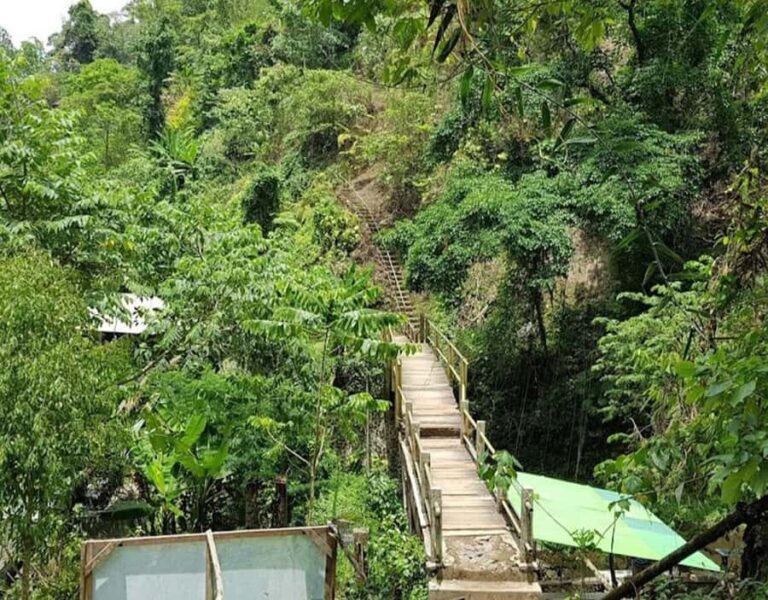 daytour bali:sekumpul + fiji waterfalls,ulundanu beratan - Practical Details and Value