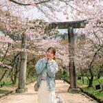 Dazaifu, Yanagawa River Cruise & Strawberry Picking from Fukuoka - Who Should Consider This Tour?