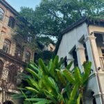 Decoding Chongqing a Vertical Journey - Practical Details and Value