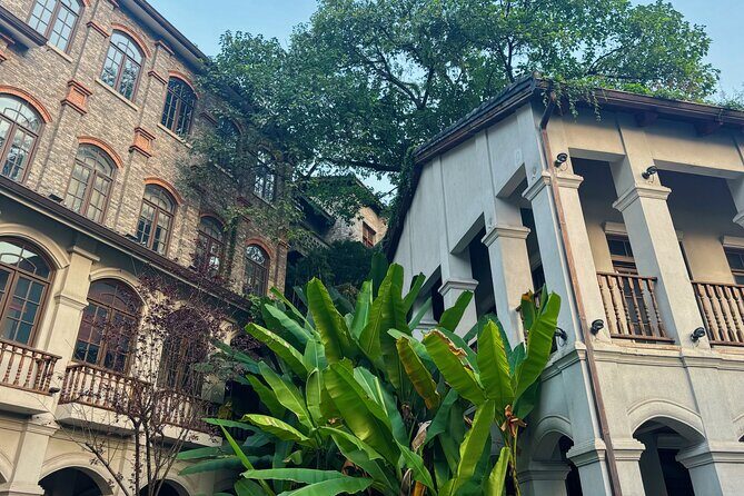 Decoding Chongqing a Vertical Journey - Practical Details and Value