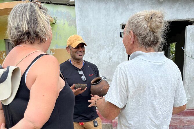 Delft Island Guided Tour Discover the Beauty and Culture - The Sum Up: Why Choose the Delft Island Guided Tour?