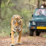 Delhi: 7 Days Golden Triangle with Tiger safari & Varanasi - Frequently Asked Questions (FAQs)