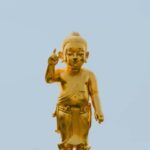 Delhi: 7-Days on the Buddhist Enlightenment Path - What Makes This Tour Valuable?