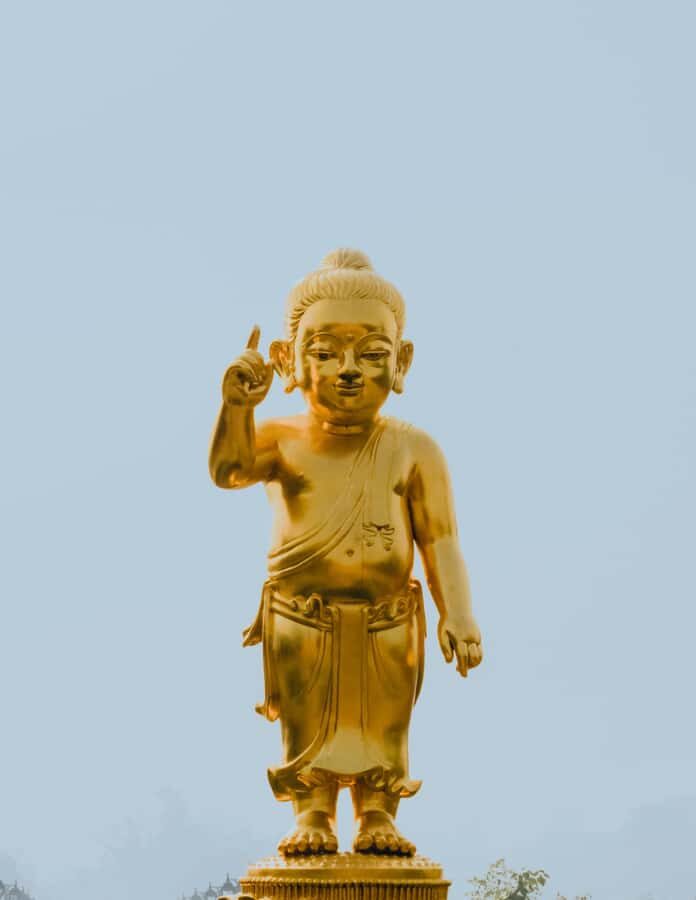 Delhi: 7-Days on the Buddhist Enlightenment Path - What Makes This Tour Valuable?