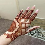 Delhi: Henna Art Workshop with Local Artist - Who Will Love This Experience?