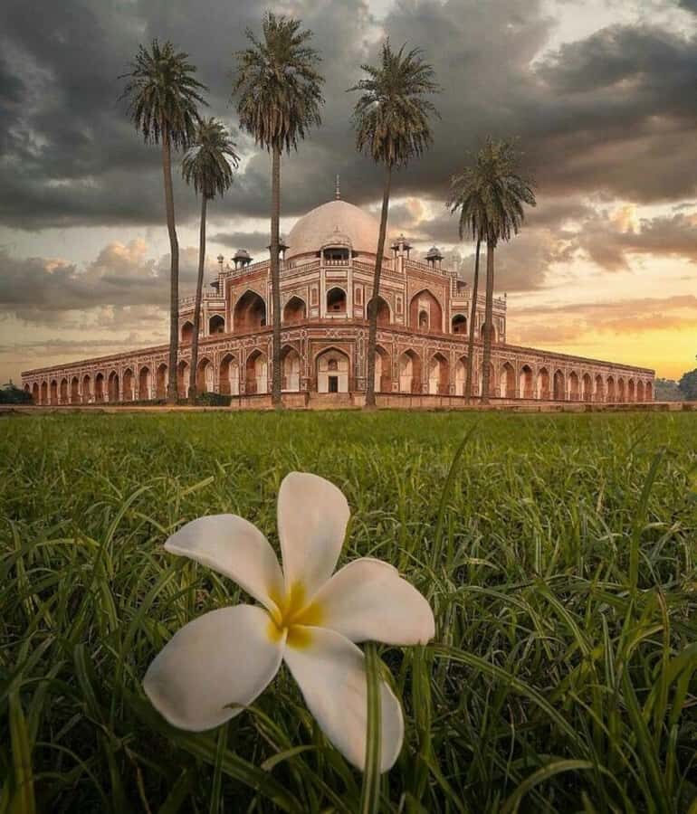 Delhi in One Day: Private Old & New Delhi with Local Stories - Who Would Love This Tour?