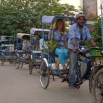 Delhi: India Gate, Humayun Tomb and Qutub Minar Guided Tour - What’s Included and What Not